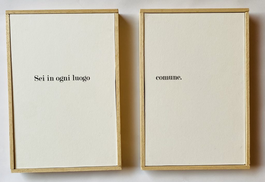 Riccardo Bonfadini - Sei in ogni luogo comune