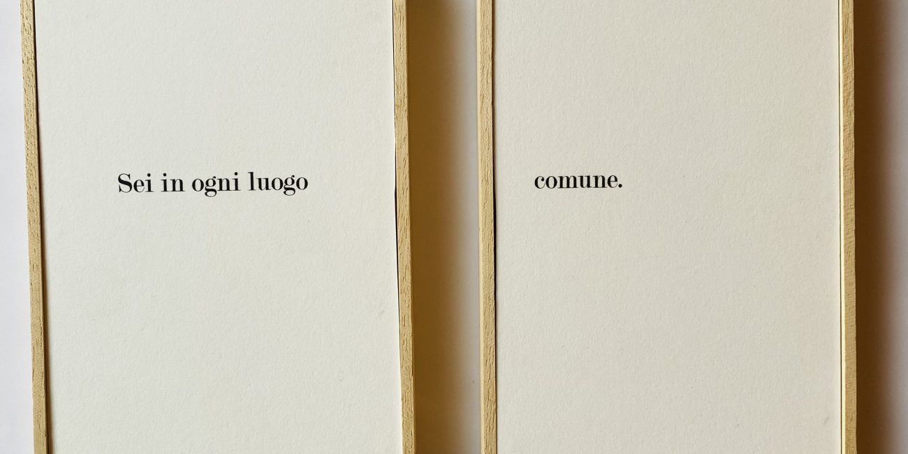 Riccardo Bonfadini - Sei in ogni luogo comune