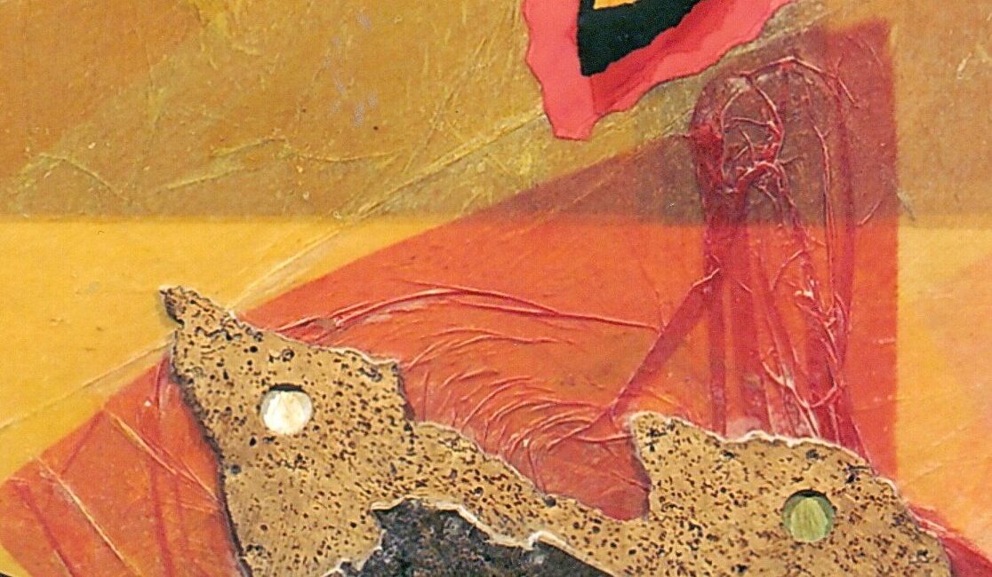 ROBERTO CRIPPA PARTICOLARE