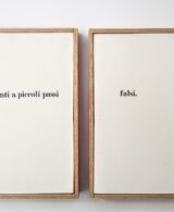 A piccoli passi ... falsi | Riccardo Bonfadini